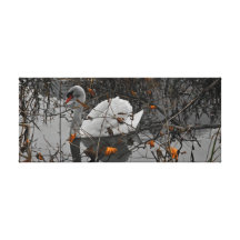 cygne emprisonné toile tendue