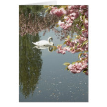 cygne et fleurs roses cartes de vœux