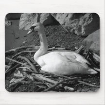 Cygne Tapis De Souris