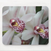 Cymbidium Orchid Mousepads