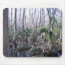 Cypress Hammock Everglades Florida Mouse Pad