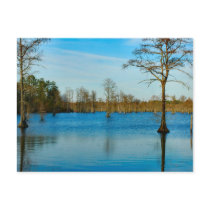 Cypress Lake Post Cards