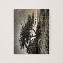 Cypress On The Coast Jigsaw Puzzles