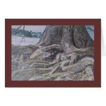 cypress roots greeting cards