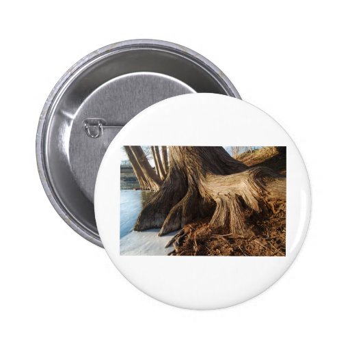Cypress Roots Pinback Buttons