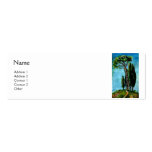 CYPRESS TREES AND MEDITERRANIAN PINE IN TUSCANY BUSINESS CARD TEMPLATE