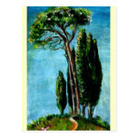 CYPRESS TREES AND MEDITERRANIAN PINE IN TUSCANY POST CARDS