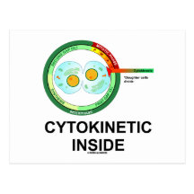Cytokinetic Inside (Cytoplasm Division Mitosis) Post Card