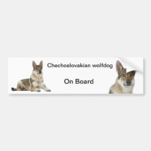 czechoslovakian wolfdog bumpersticker bumper sticker