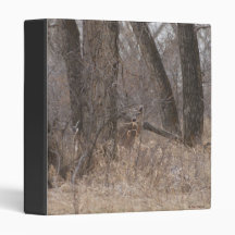 D0002 White-tailed Deer binder