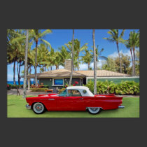 D.T.Fleming Beach Park posters