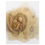 da Vinci - Embryo Sketch Flyer