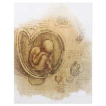 da Vinci - Embryo Sketch Flyer
