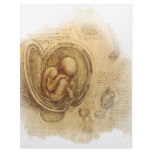 da Vinci - Embryo Sketch Personalized Letterhead