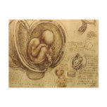 da Vinci - Embryo Sketch Post Card