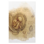 da Vinci - Embryo Sketch Stationery Design