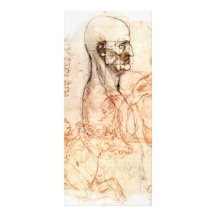 da Vinci -- Man and Horse Sketch Custom Rack Card