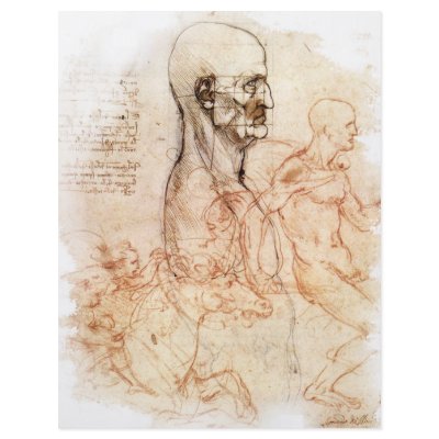 da Vinci -- Man and Horse Sketch Flyer Design by RisingDesign