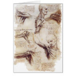 da Vinci -- Shoulder Sketch Greeting Cards