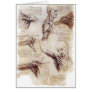da Vinci -- Shoulder Sketch Greeting Cards