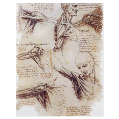 da Vinci -- Shoulder Sketch Personalized Flyer by RisingDesign