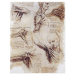 da Vinci -- Shoulder Sketch Personalized Flyer