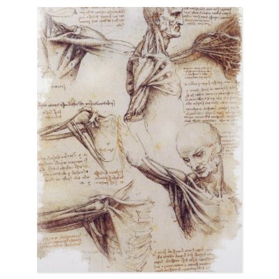 da Vinci -- Shoulder Sketch Custom Letterhead by RisingDesign