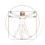 Da Vinci Vitruvian Man Sticker