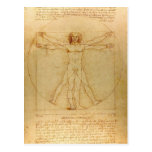 Da Vinci's Vitruvian Man Postcard