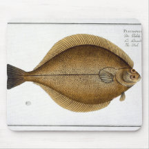 Dab (Pleuronectes Limanda) plate XLVI from 'Ichthy Mousepads