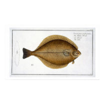 Dab (Pleuronectes Limanda) plate XLVI from 'Ichthy posters