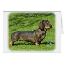 Dachshund 8R020D-23 Greeting Card