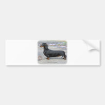 Dachshund 9J79D-07 Bumper Sticker