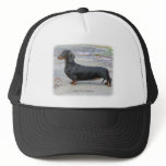 Dachshund 9J79D-07 Mesh Hat