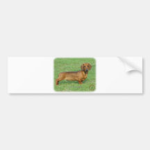 Dachshund 9J81D-03 Bumper Sticker