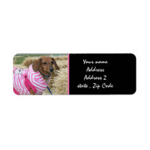 Dachshund Address Labels