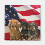 Dachshund America Magnet