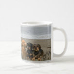 Dachshund Beach Mug Have Moxie