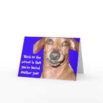 Dachshund Birthday Card