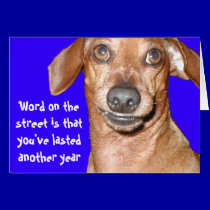 Dachshund Birthday Card cards