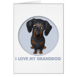 Dachshund (Black and Tan) Granddog