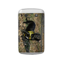 Dachshund Blackberry cover2 Blackberry Bold Cover
