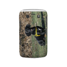 Dachshund Blackberry cover Blackberry Bold Cases