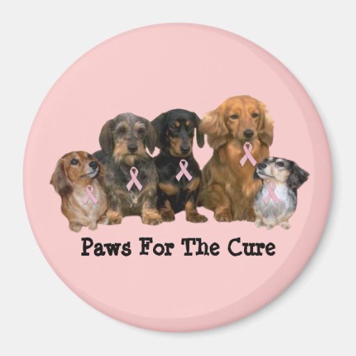 Dachshund Breast Cancer Magnet