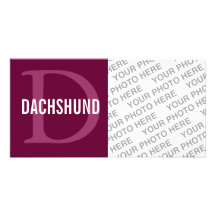 Dachshund Breed Monogram Design Photo Card