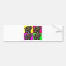 Dachshund Bright Dog Collage Bumper Sticker
