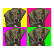 Dachshund Bright Dog Collage Invite