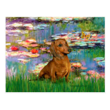 Dachshund (brown1) - Lilies 2 Post Cards