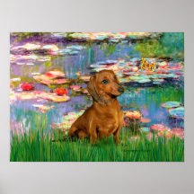 Dachshund (brown1) - Lilies 2 Posters