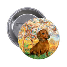 Dachshund (brown1) - Spring - Customized Button